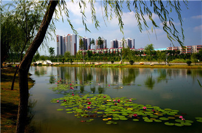 河南工程監(jiān)理 河南工程監(jiān)理